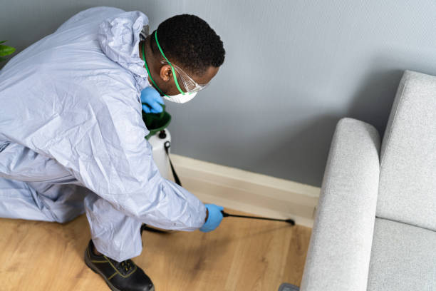 Best Fumigation Services  in Crest Hl, IL